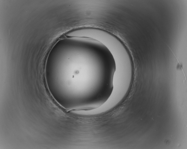 X0000112150673200908281340