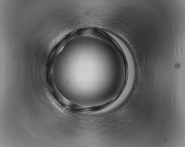 X0000112150677200908281340