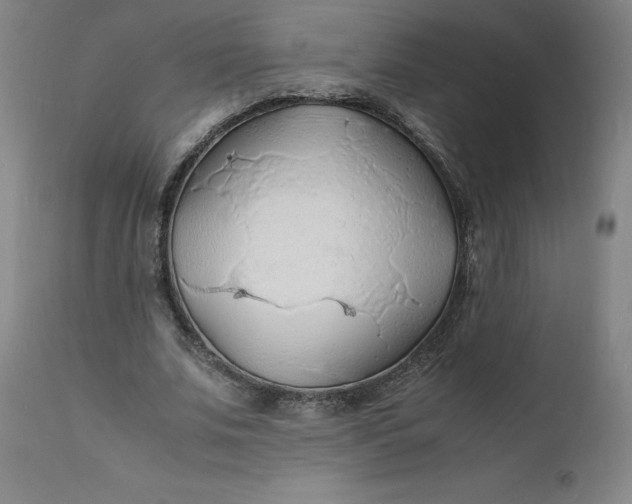 X0000112150679200908281340