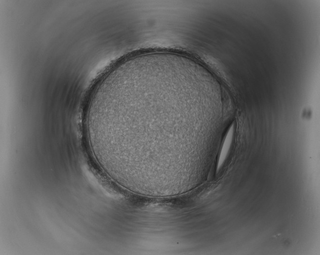 X0000112150680200908281340