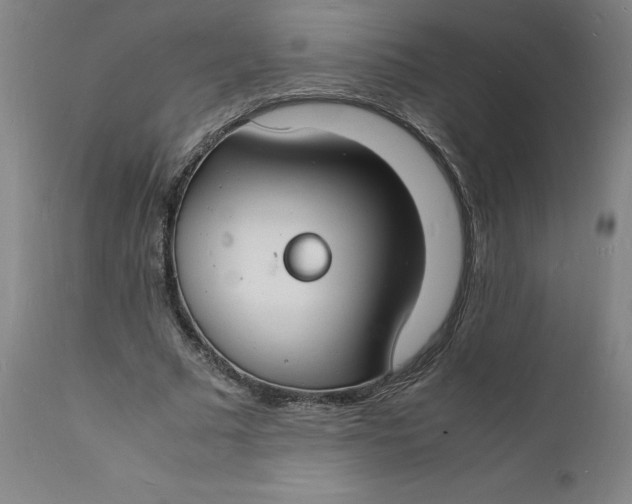X0000112150681200908281340