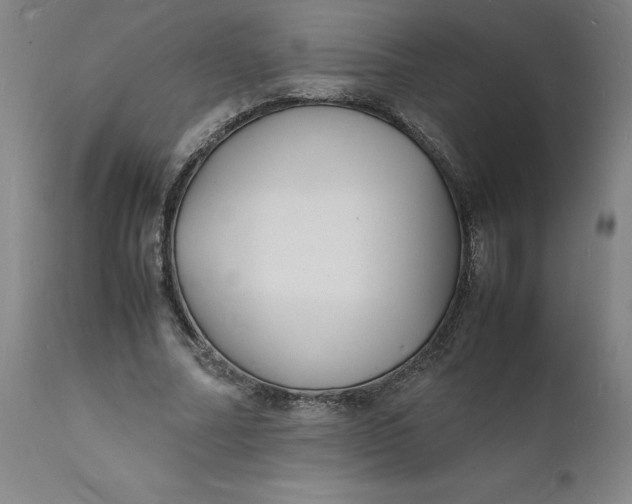 X0000112150682200908281340
