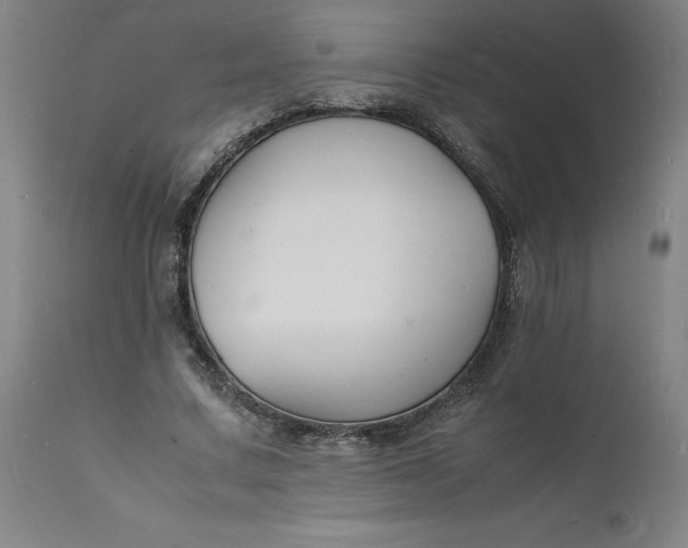 X0000112150683200908281340