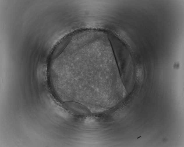 X0000112150684200908281340
