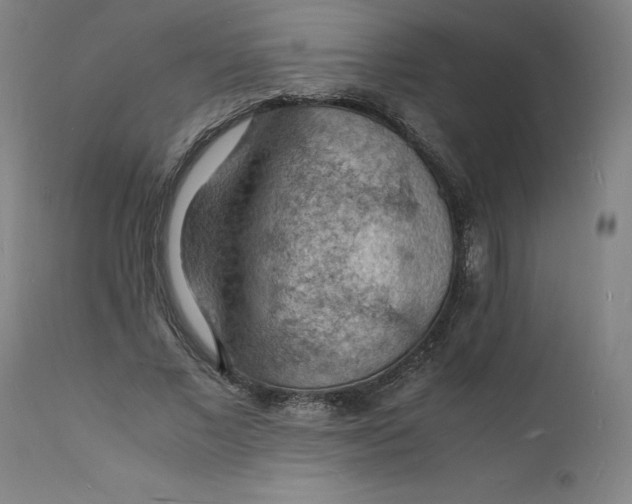 X0000112150685200908281340