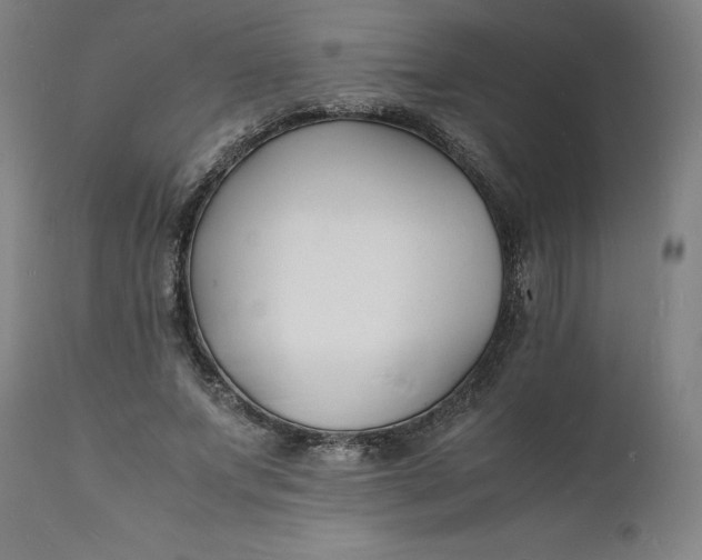 X0000112150687200908281340