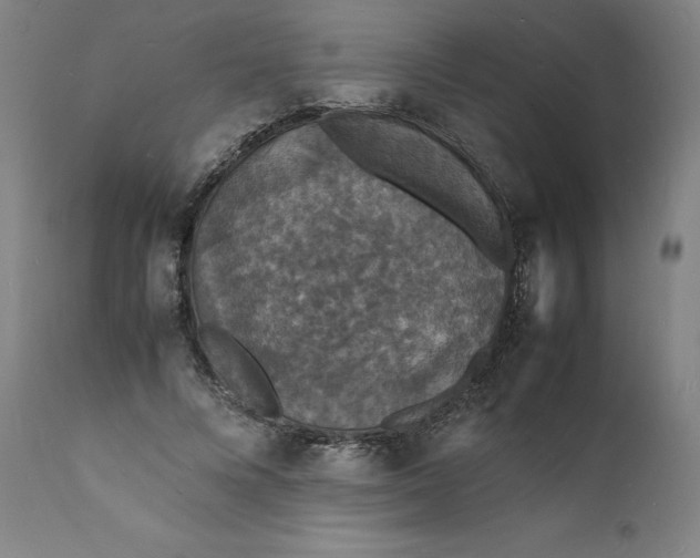 X0000112150688200908281340