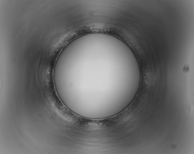 X0000112150690200908281340