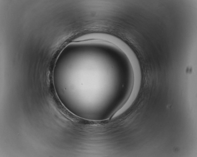 X0000112150692200908281340