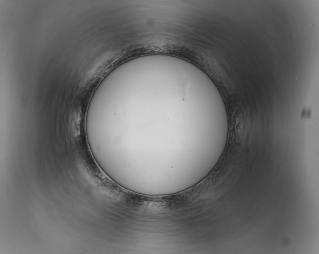 X0000112150694200908281340