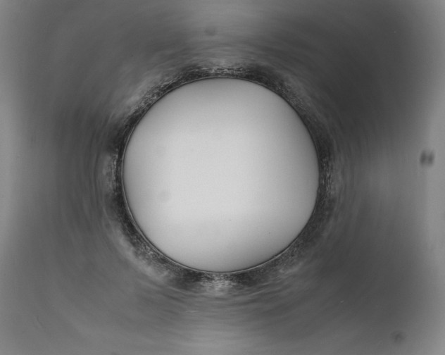 X0000112150695200908281340