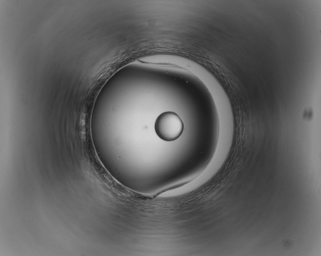 X0000112150696200908281340