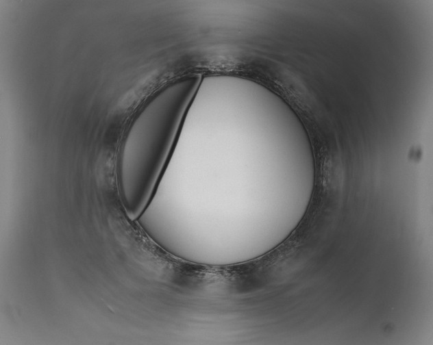 X0000112150697200908281340