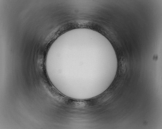 X0000112150698200908281340