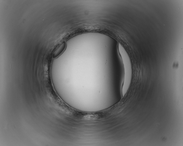 X0000112150700200908281340