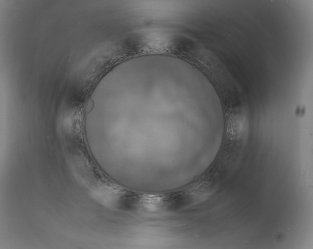 X0000112150701200908281340