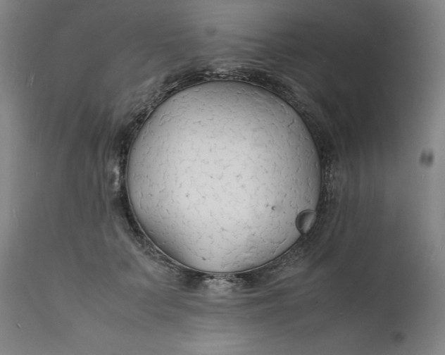 X0000112150703200908281340
