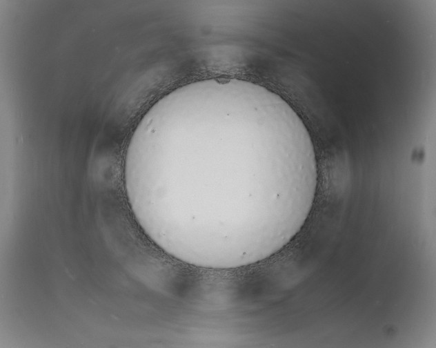 X0000112150705200908281340