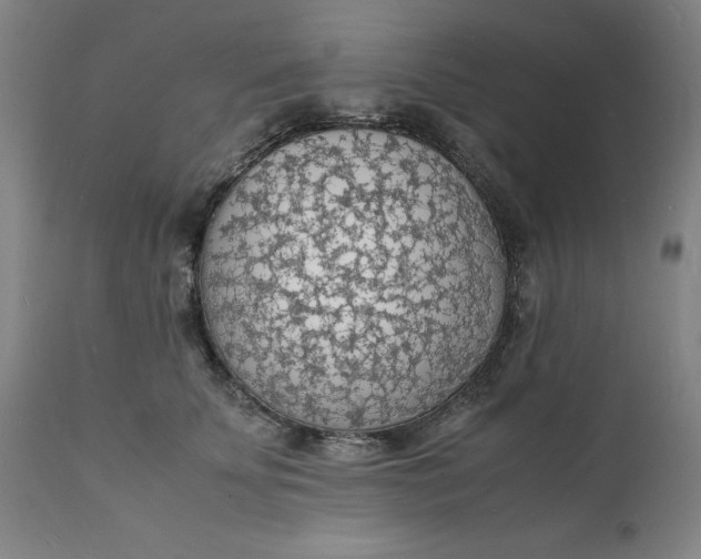 X0000112150707200908281340