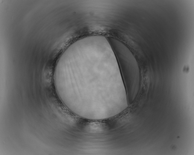 X0000112150708200908281340