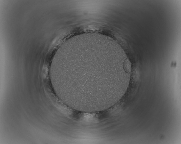 X0000112150709200908281340