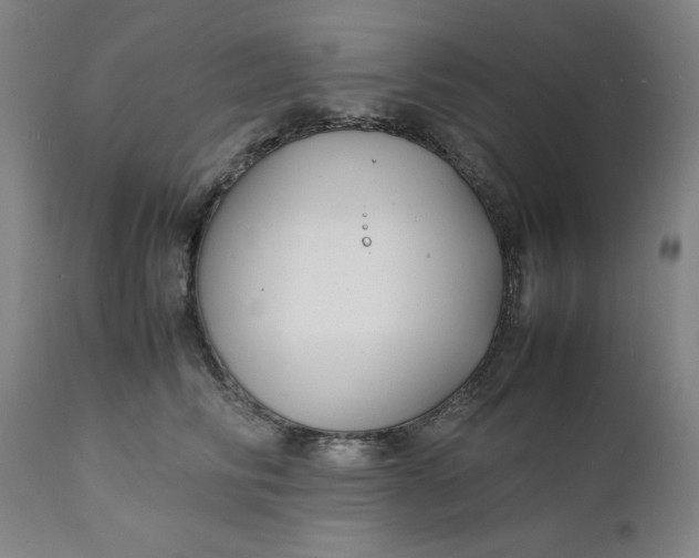 X0000112150710200908281340