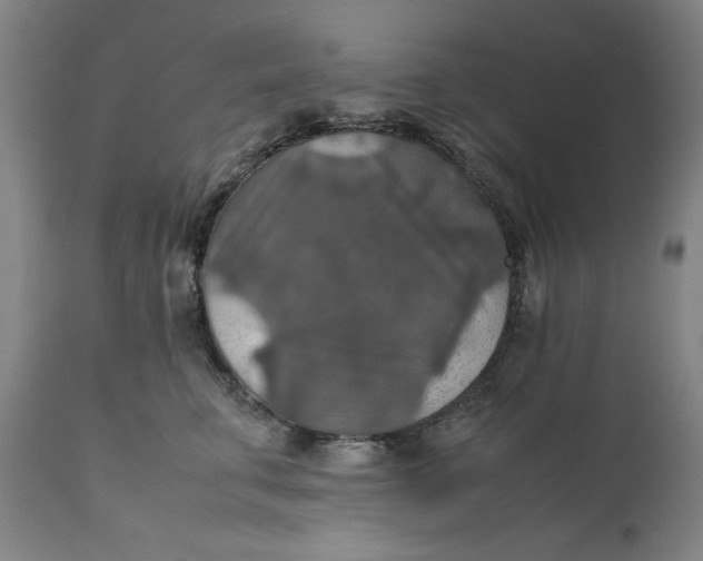 X0000112150711200908281340