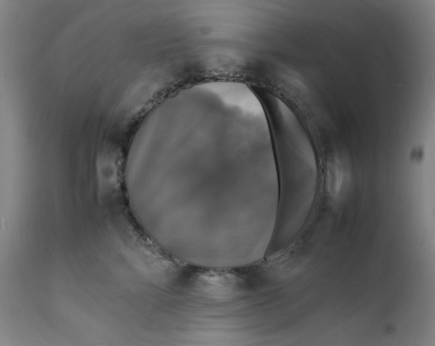 X0000112150712200908281340