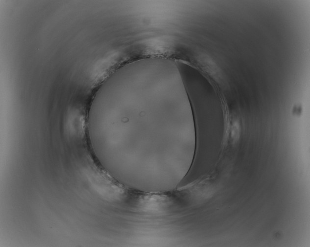 X0000112150716200908281340