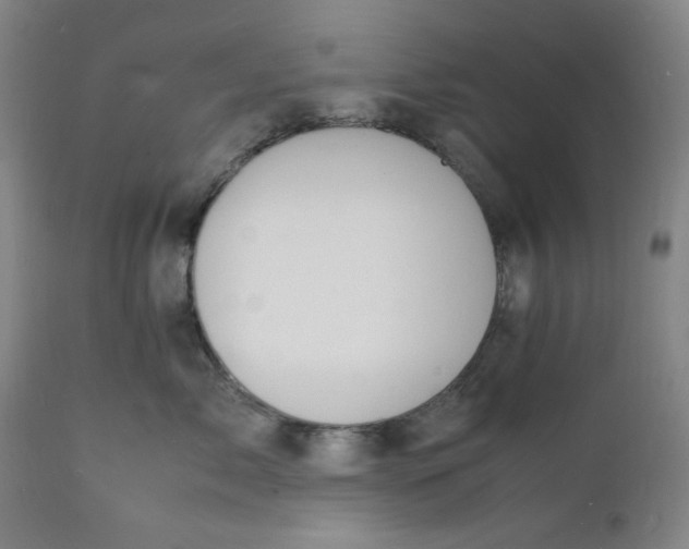 X0000112150717200908281340