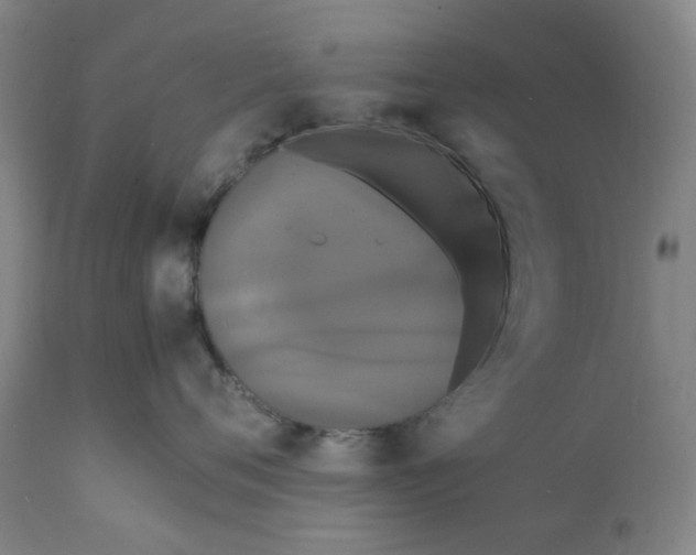 X0000112150720200908281340