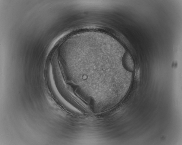 X0000112150724200908281339