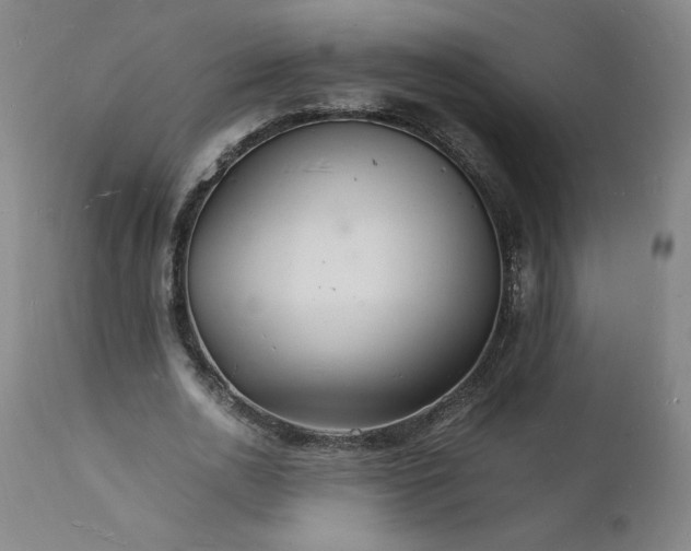 X0000112150726200908281339