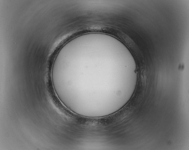 X0000112150728200908281339