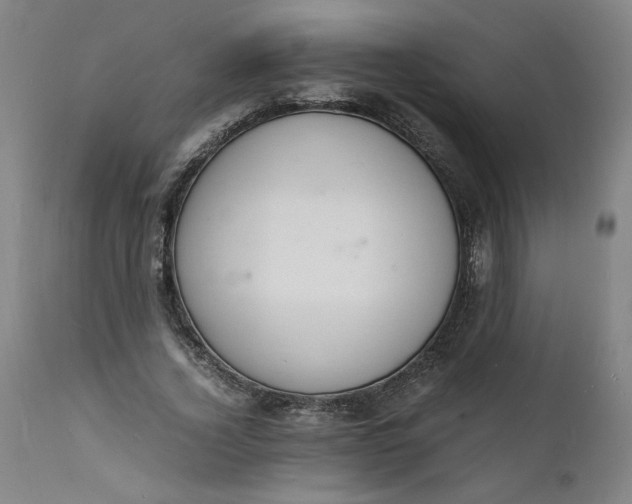 X0000112150732200908281339
