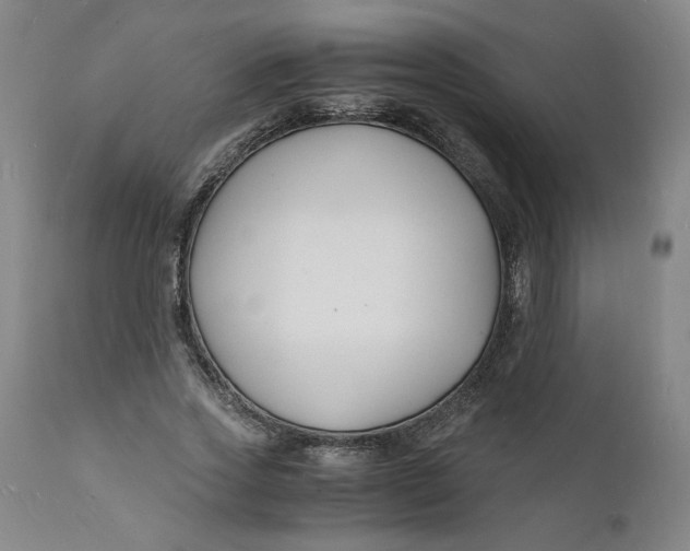 X0000112150733200908281339
