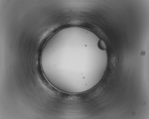 X0000112150734200908281339