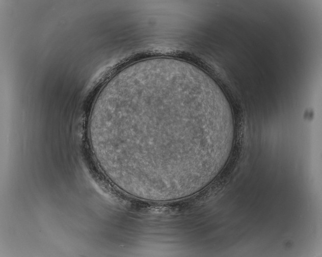 X0000112150736200908281339
