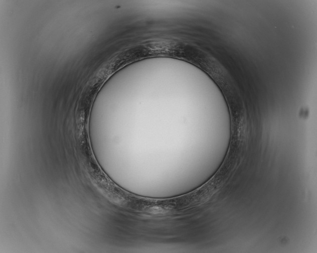 X0000112150737200908281339