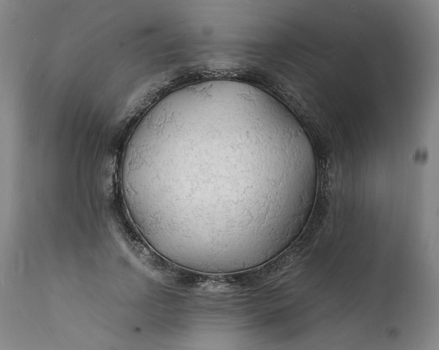 X0000112150742200908281339