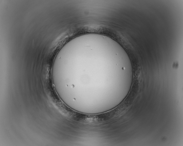 X0000112150744200908281339