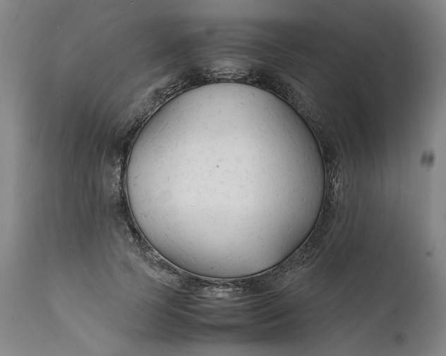 X0000112150745200908281339