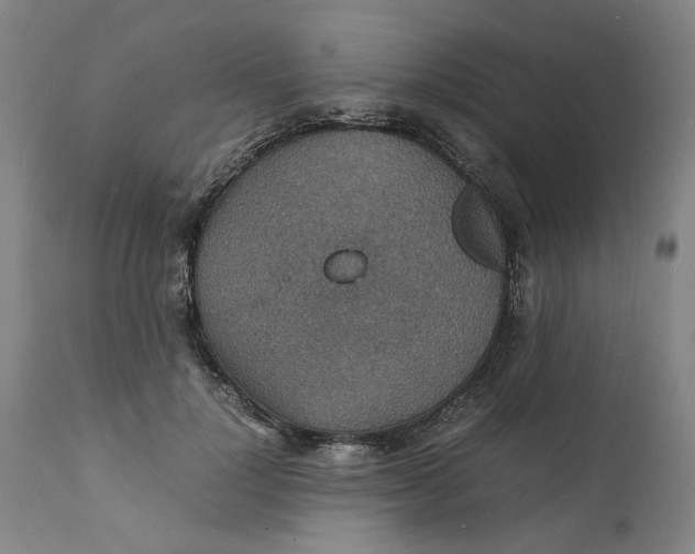 X0000112150748200908281339