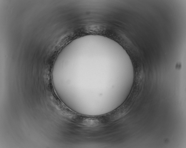 X0000112150749200908281339