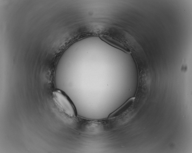 X0000112150750200908281339