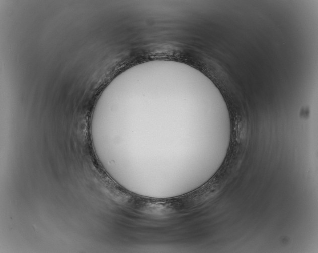 X0000112150753200908281340