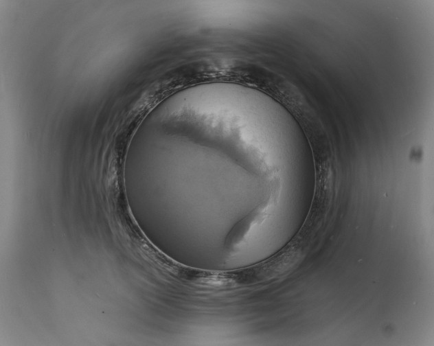 X0000112150754200908281340