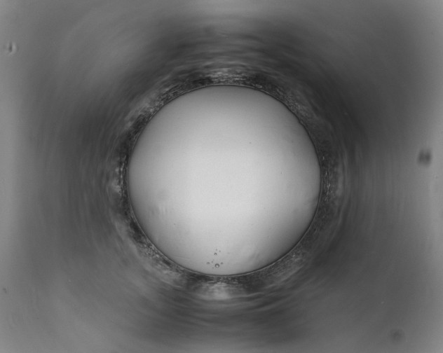 X0000112150755200908281340