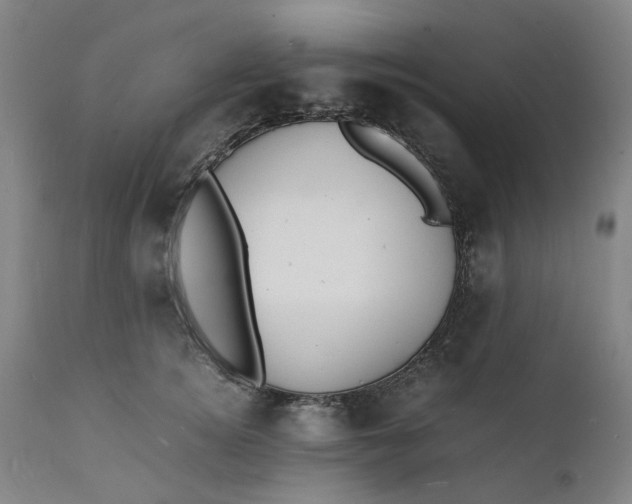 X0000112150756200908281340