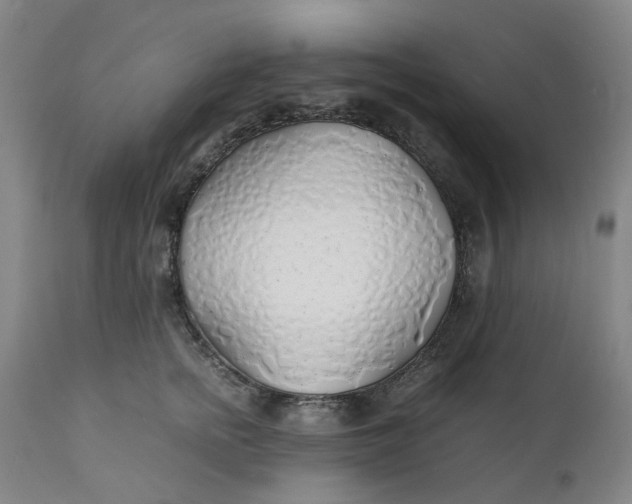 X0000112150758200908281340